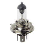 Autolamp Bosma Lamps H4 halogeen lamp <BR>12 volt 100/90 watt <BR> P45T 5012061945